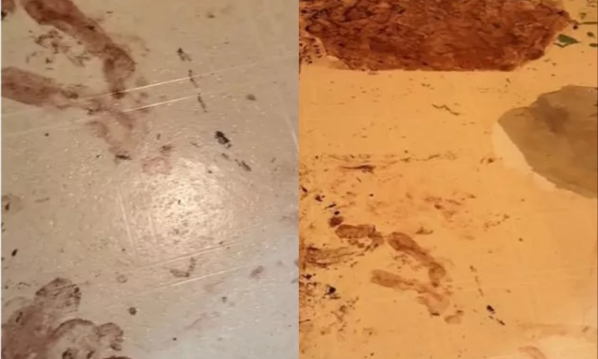 Viral TikTok Sparks Panic Midwest Homeowner Fears Murder Scene in New House, Police Confirm Stain Isn't Blood