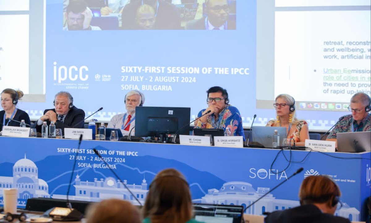 Dr. Youba Sokona Advocates for Aligning IPCC Reports with Global Stocktake to Enhance Climate Policy Impact