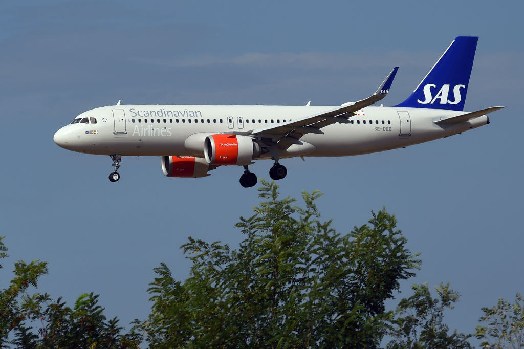 SAS Flight Diverts for Emergency Landing After Mouse Emerges from Passenger Meal