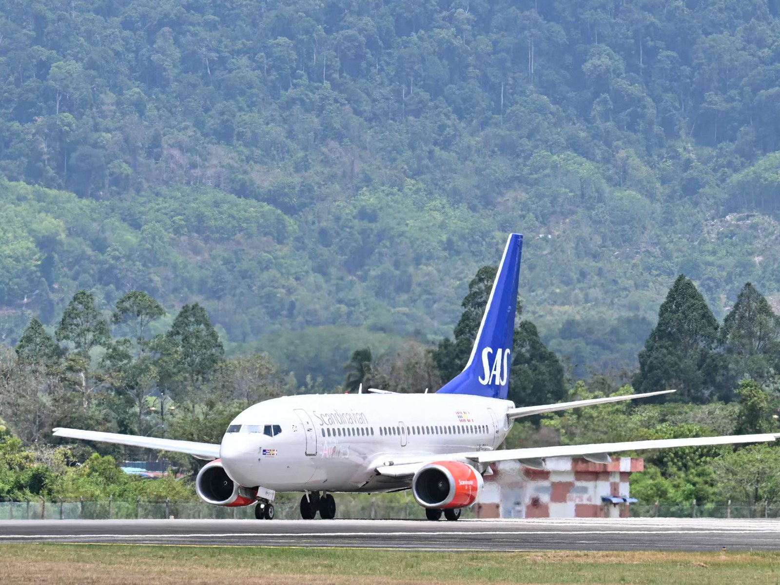 SAS Flight Diverts for Emergency Landing After Mouse Emerges from Passenger Meal