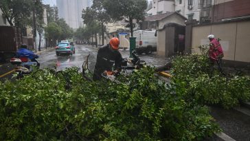 Shanghai Faces Its Most Intense Storm Since 1949 as Typhoon Bebinca Strikes with 94 MPH Winds