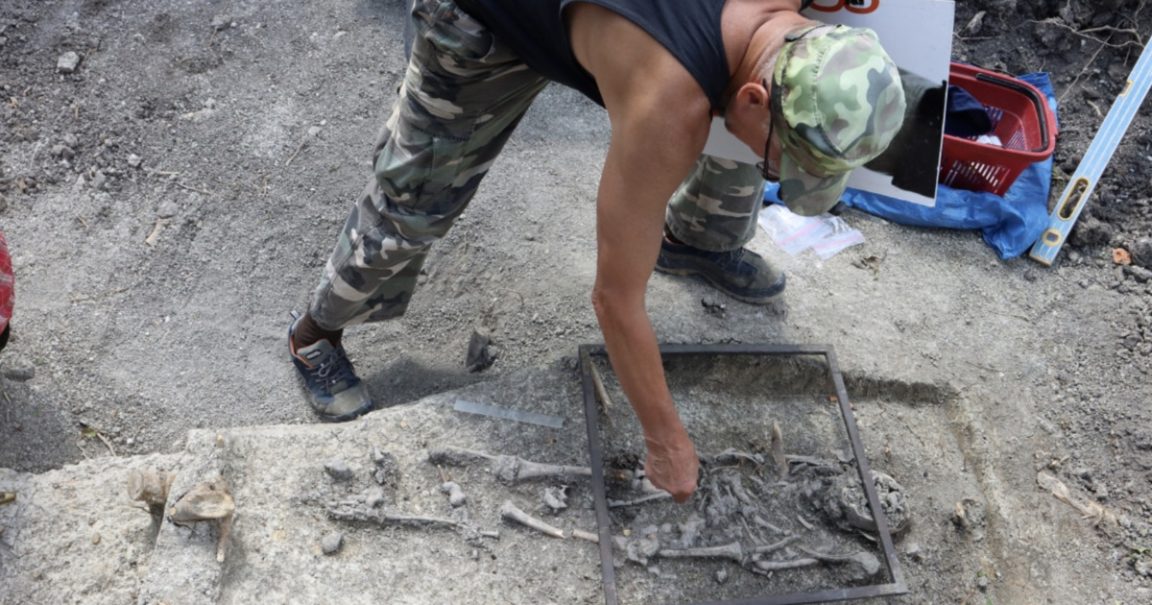 Workers in Poland Unearth Children's Skeletons in Suspected Anti-Vampire Burial near Historic Cathedral