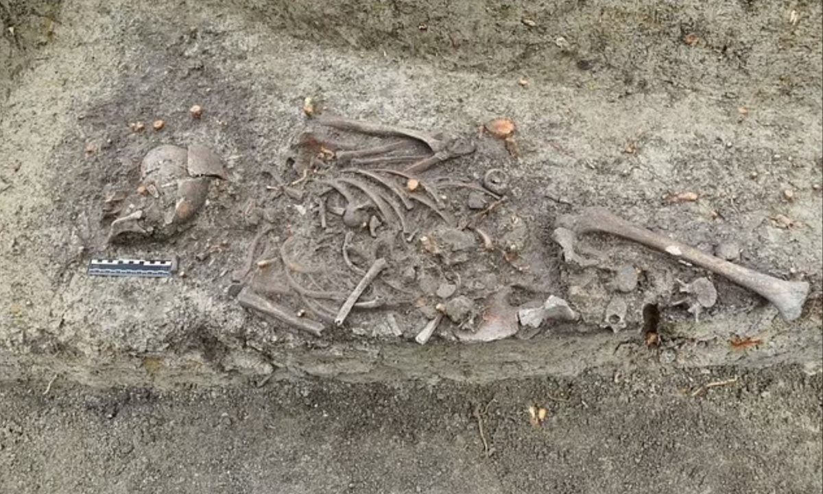 Workers in Poland Unearth Children's Skeletons in Suspected Anti-Vampire Burial near Historic Cathedral